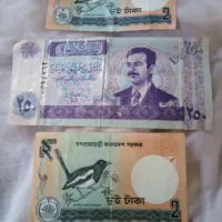 کلکسیون