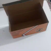 کارتن لنت