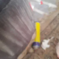 نیازمند ادمین اینساگرام با فالوربالاجهت دادن تبلیغ
