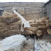 جاروی فرجی|لوازم نظافت|آشخانه, |دیوار