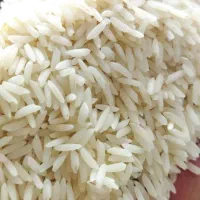 برنج  طارم هاشمی درجه 1|خوردنی و آشامیدنی|بهشهر, |دیوار