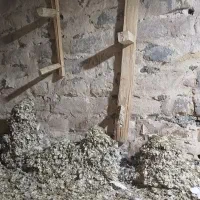 بار کفتر ۳۰ کیسه کود کفتر