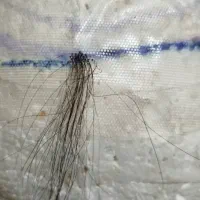 بافنده پروتز مو  (دورکاری)