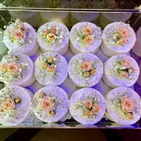 سفارش انواع کیک تولد و تکنفره و کاپ کیک|خدمات پذیرایی، مراسم|قم, بنیاد|دیوار