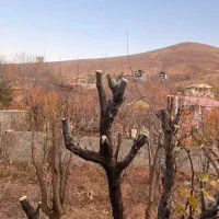 ویلا نیمه کاره روستای هرین(جاده چالوس)|فروش خانه و ویلا|آسارا, |دیوار