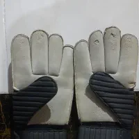 دستکش دروازبان|تجهیزات ورزشی|بیرجند, |دیوار