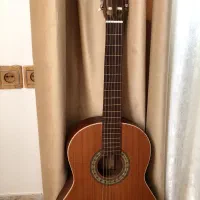 گیتار مدل M5پارسی