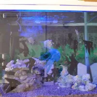 اکواریوم درب دار شرکتی