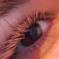 جشنواره اکستنشن مژه|خدمات آرایشگری و زیبایی|اصفهان, سعادت‌آباد|دیوار