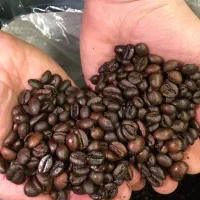 قهوه|عمده‌فروشی|رباط‌کریم, رباط‌کریم|دیوار