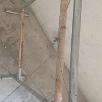 دار قالیچه