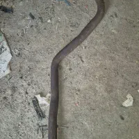 سنتر پژو ۴۰۵