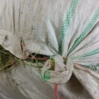 کاه یونجه پرگل