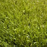 قیمت چمنن  /مصنوعیئ شکست