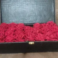 جعبه گل|گل مصنوعی|شیراز, شهرک مدرس|دیوار