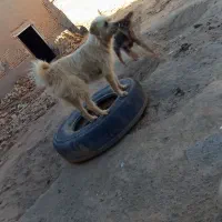 بامزه های دوس داشتنی