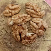 گردو|حراج|سلماس, |دیوار