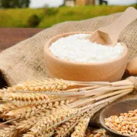 پخش آرد نول قنادی مخصوص سمنو|عمده‌فروشی|قم, شهر قائم|دیوار