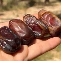 رطب و خرمای  کبکاب اعلا|خوردنی و آشامیدنی|شیراز, جوادیه|دیوار