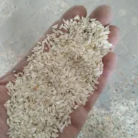 برنج کامفیروزی|خوردنی و آشامیدنی|شیراز, تلخ داش|دیوار