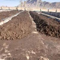 کود ورمی کمپوست