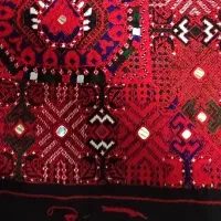زی آستین