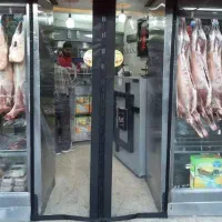 پرده مگنتی (مغناطیسی)