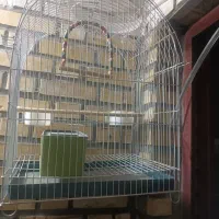 یک قفس در حد نو|لوازم جانبی حیوانات|سنندج, |دیوار