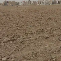 زمین 500 هکتاری الغدیر نجم آباد