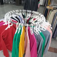 رگال گردون- چوبکار پهن - نیم تنه پلاستیکی