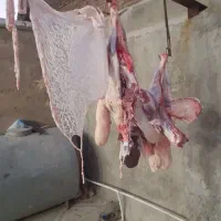 قصابی ماهر|استخدام خدمات فروشگاه و رستوران|خرم‌آباد, |دیوار