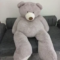 خرس نو ابعاد بزرگ