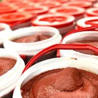 رب گوجه فرنگی|خوردنی و آشامیدنی|تهران, شهید رجایی|دیوار