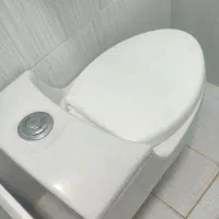 توالت فرنگی رایگان