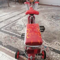 دوچرخه بچه گانه نو|دوچرخه، اسکیت، اسکوتر|شهرضا, |دیوار