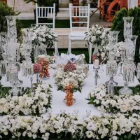 اجاره سفره عقد ودیزاین بله برون|خدمات پذیرایی، مراسم|کرج, فاز ۱ مهرشهر|دیوار