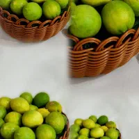 سبدبافی مفتول نقش ارغوان