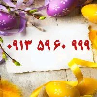 0919.9.13.13.63|سیم‌کارت|اصفهان, تیران|دیوار