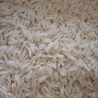 برنج هاشمی درجه یک گیلان