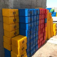 سبد پلاستیکی