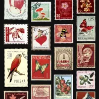 برچسب و پوستر برای اتاق و تزیینات