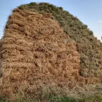 یونجه|لوازم جانبی حیوانات|خوی, |دیوار