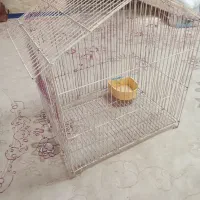 قفس