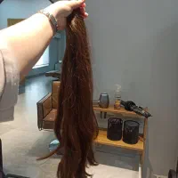 موهاتو با بالاترین قیمت بهم بفروش|خدمات آرایشگری و زیبایی|گنبد کاووس, |دیوار