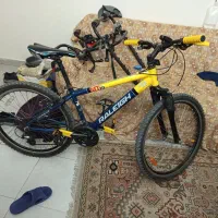 دوچرخه رالی ۲۱دنده