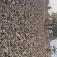 اجاره زمین کشاورزی آماده به کار|اجارهٔ دفتر صنعتی، کشاورزی، تجاری|تخت, |دیوار