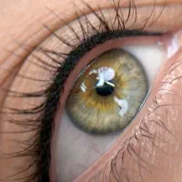 خدمات آرایش دائم وریموو