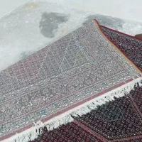 فرش ۶ متری|فرش|سنندج, |دیوار