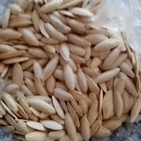 نخود عدس تخمه کدو