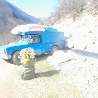 کاه گندم درجه یک|لوازم جانبی حیوانات|رامسر, |دیوار